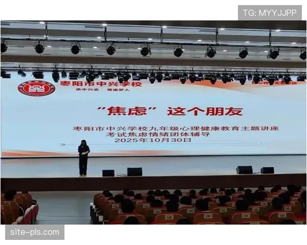 赛事心理疏导服务,助力运动员与观众情绪调节与支持