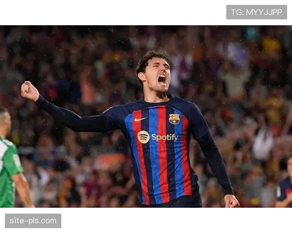 巴萨后卫克里斯滕森长期休战 中卫轮换深度不足成争冠隐忧 巴萨后卫克里斯滕森长期休战 中卫轮换深度不足成争冠隐忧