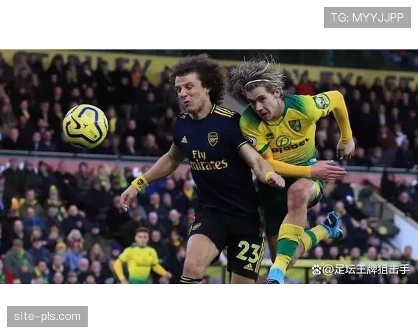 布伦特福德战术执行力强 阵容轮换遵循明确战术逻辑 布伦特福德战术执行力强 阵容轮换遵循明确战术逻辑